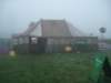felledgefog_small.jpg