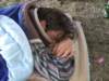 boatycaughtnapping_small.jpg